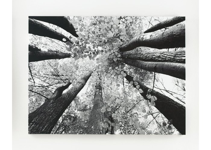 Black & White Ananya Wall Art,Signature Design by Ashley