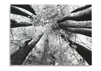 Image for Ananya Wall Art