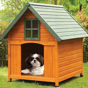 Click here for Pet Accessories